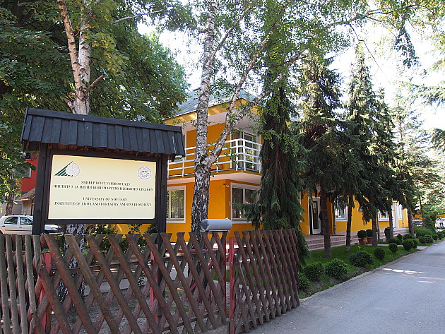 Institut za nizijsko šumarstvo i životnu sredinu najavio obnovu drvoreda kod stadiona „Karađorđe“