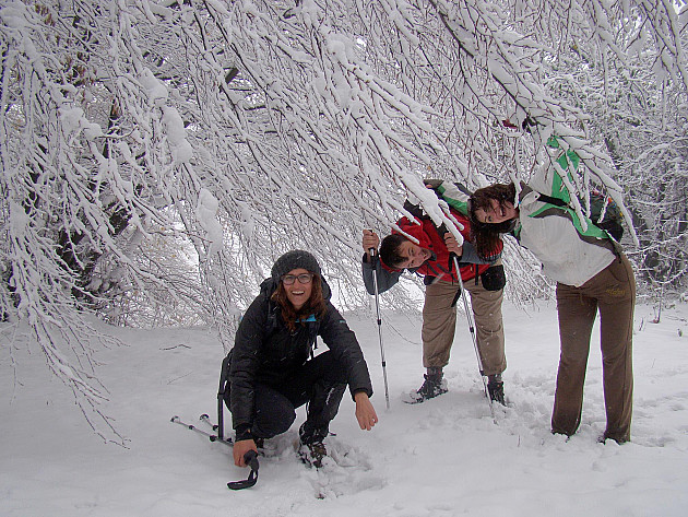 U nedelju pešačenje "Snežnim stazama Fruške gore"