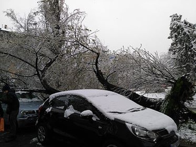 Prvi sneg u Novom Sadu nije izazvao veće probleme