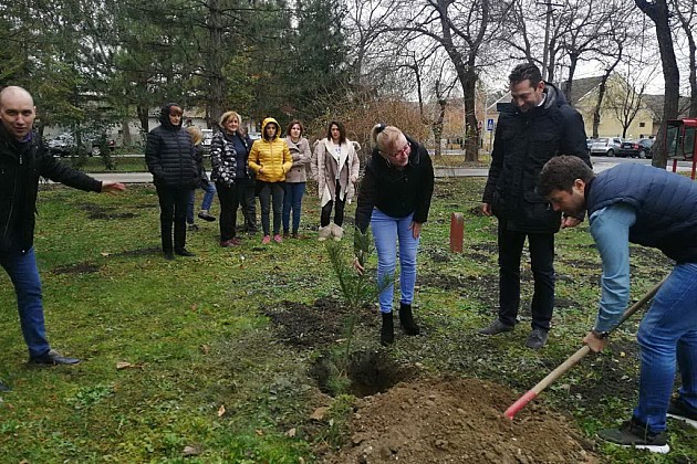 Zelena nedelja počela sadnjom lipe kod Skupštine Vojvodine
