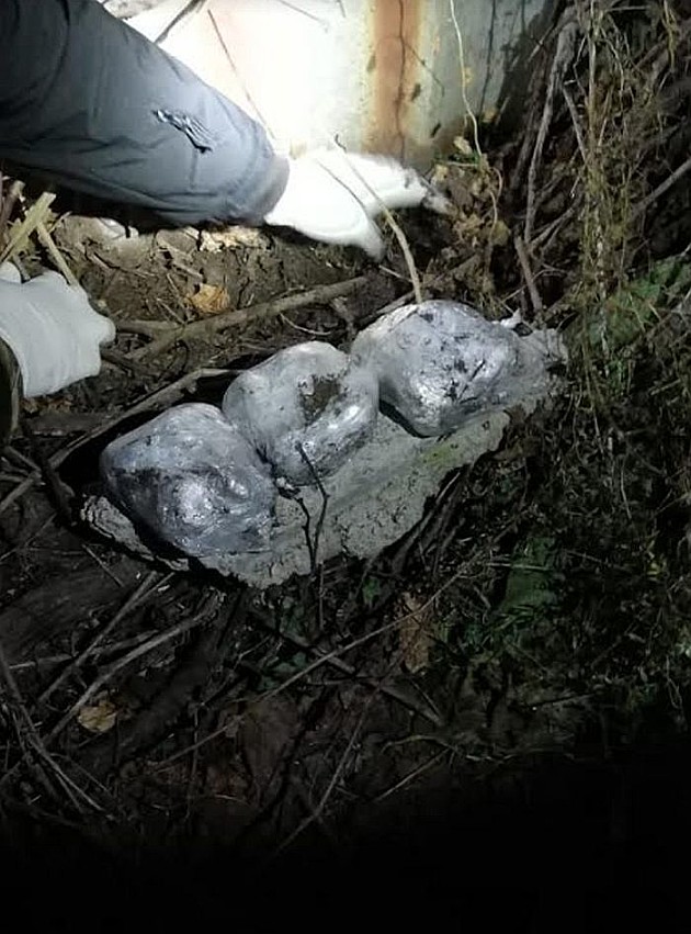 Uhapšeni prilikom primopredaje kokaina, zakopavali drogu po Novom Sadu