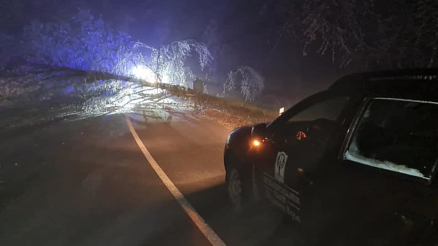 Zaleđeno stablo palo na krov putničkog automobila na Iriškom vencu, povređena žena
