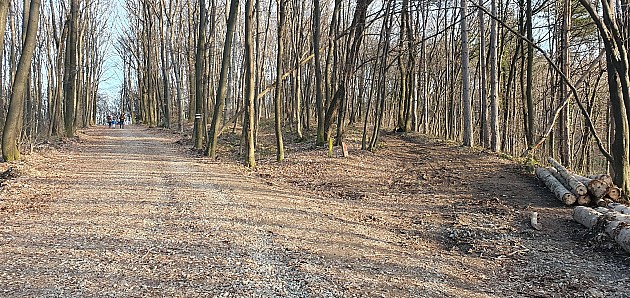 Promenljivo oblačno i suvo, od utorka hladnije