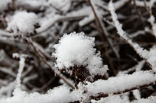 Danas zvanično počinje zima
